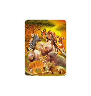 Obrázek z Magnet 3D 7x9cm - veselé safari (25) 